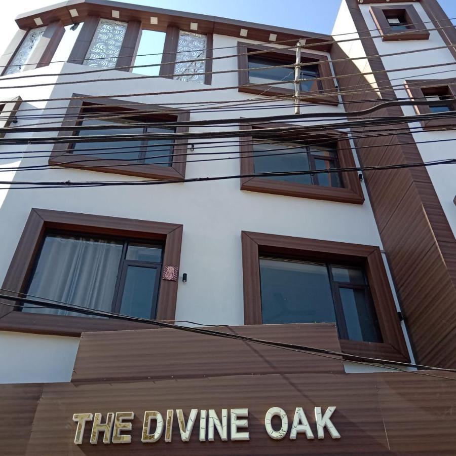 Hotel The Divine Oak Katra  Zewnętrze zdjęcie