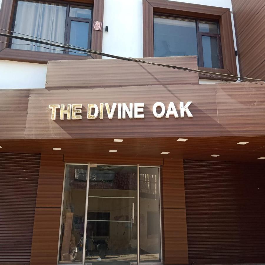Hotel The Divine Oak Katra  Zewnętrze zdjęcie